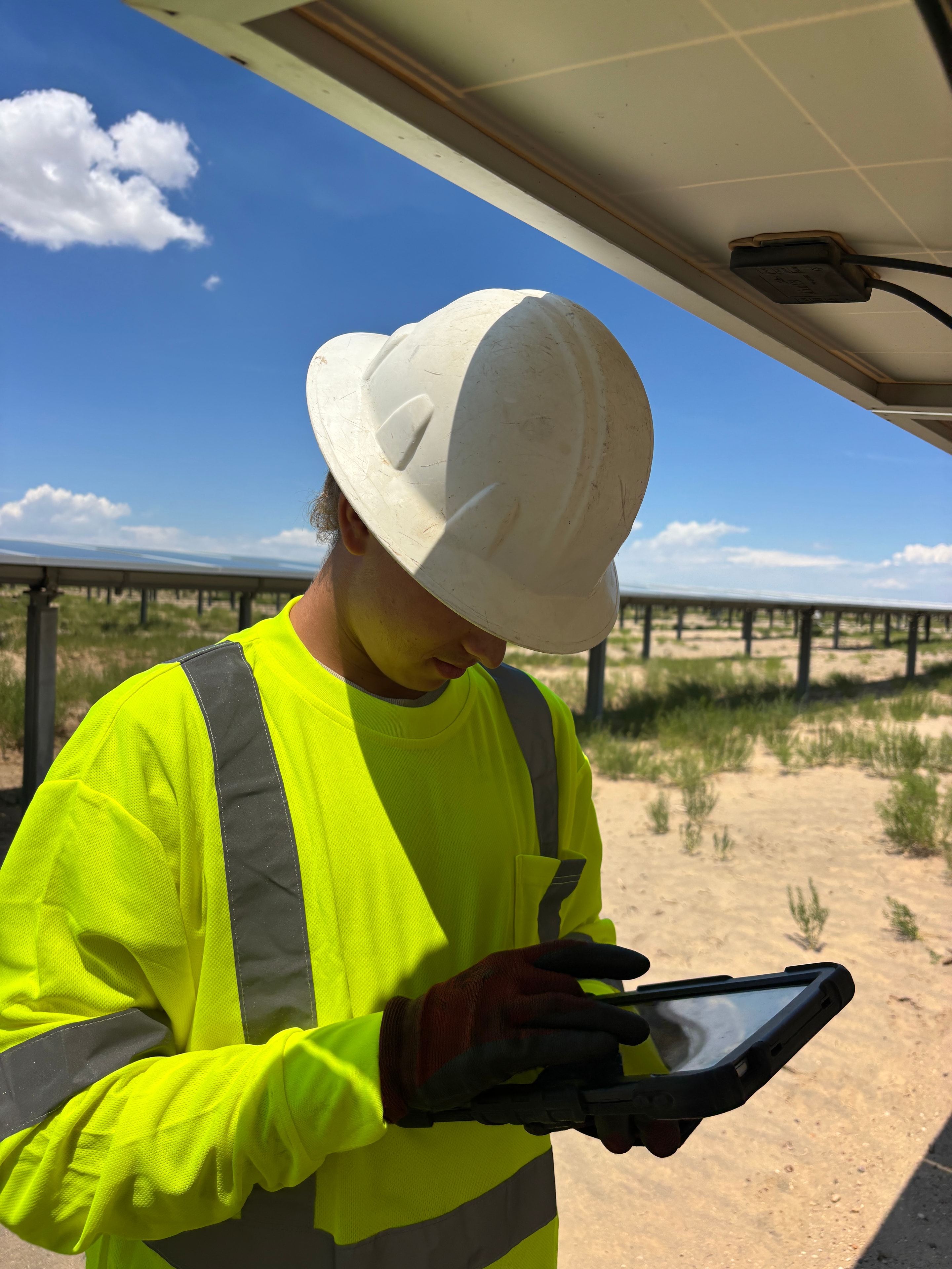 Vegetation & Site Management